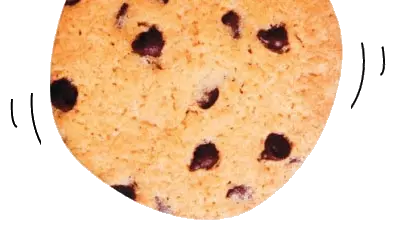 cookie-og-privatlivspolitik